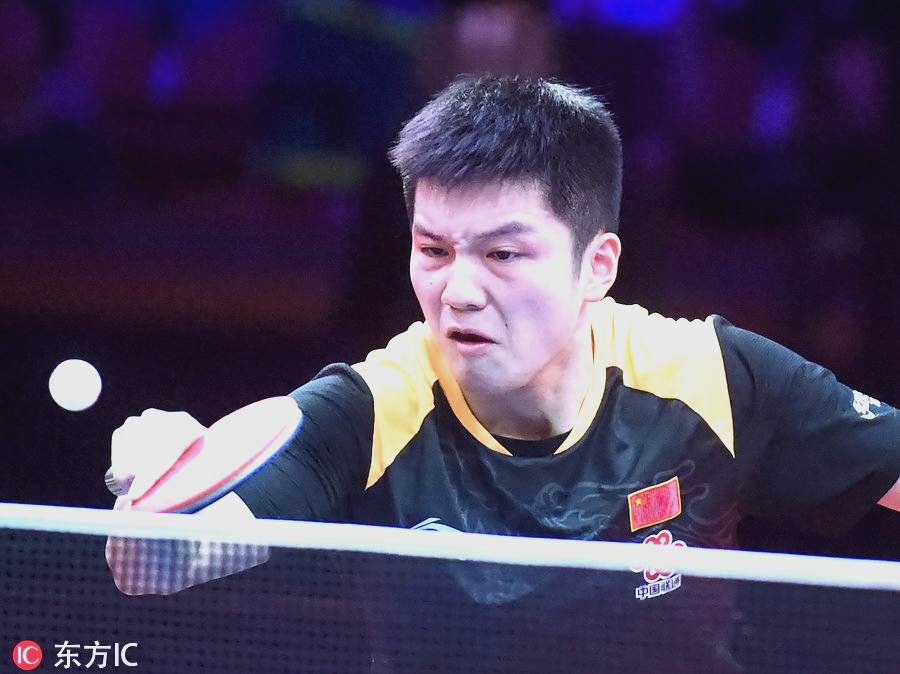 瑞典队力克奥地利队，樊振东高光表现的简单介绍
