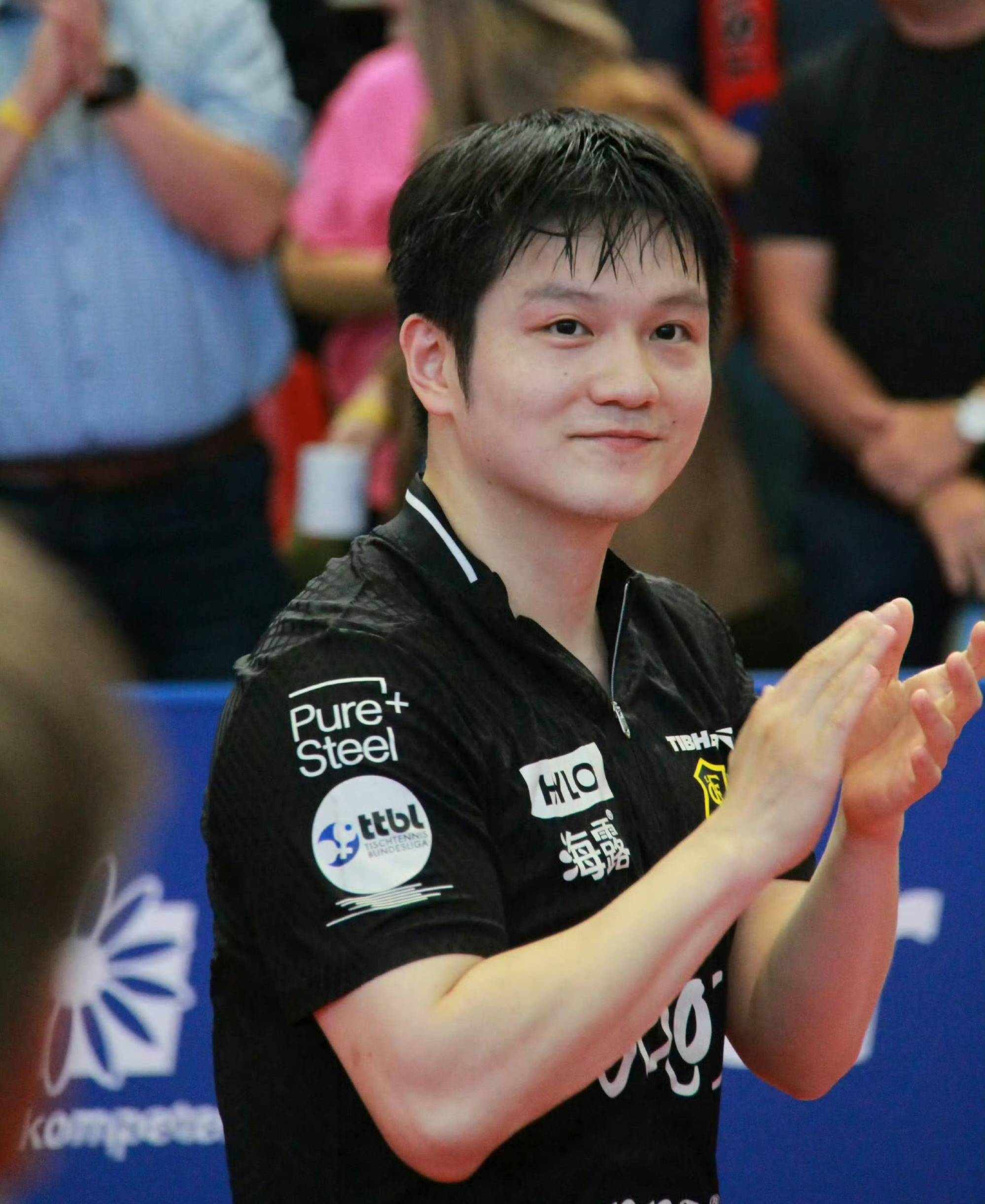 瑞典队力克奥地利队，樊振东高光表现的简单介绍