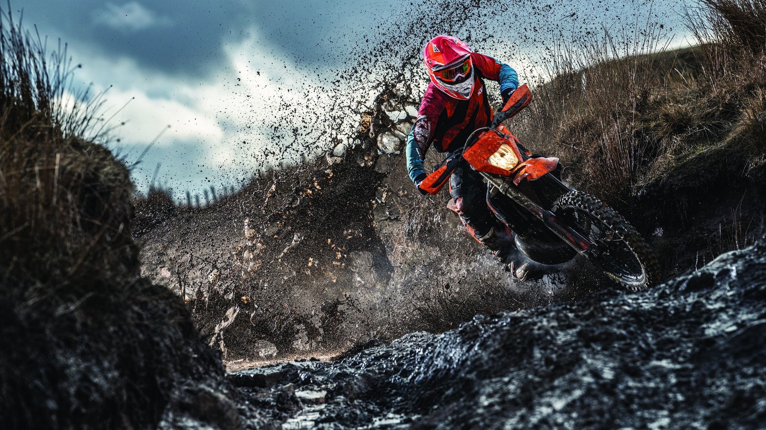 钢铁意志与羽球之翼，当德国战车碾过韩国，安赛龙扛起的是整个欧洲的荣光